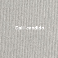 Dali candido
