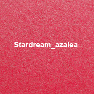 Stardream azalea